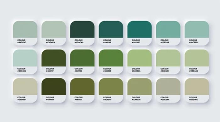 Color Trends 2024 Eco Inspired greens