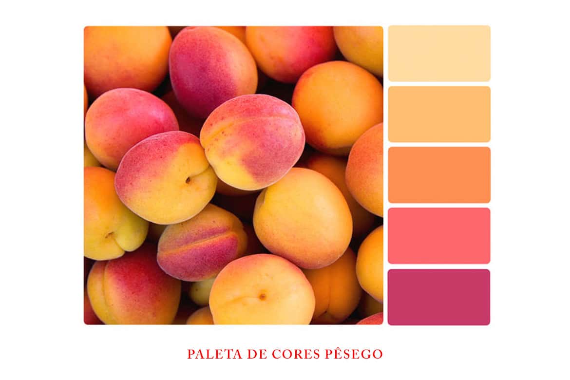 paleta cores